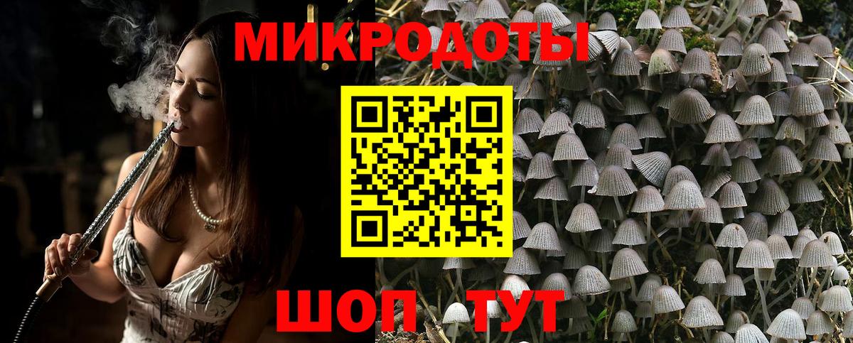 Галлюциногенные грибы Cubensis  Вход с VPN  Пушкино  купить наркотики цена  Псилоцибиновые грибы прущие грибы 