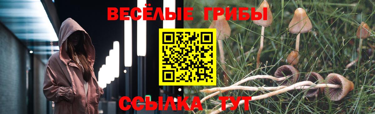 Галлюциногенные грибы мицелий Пушкино