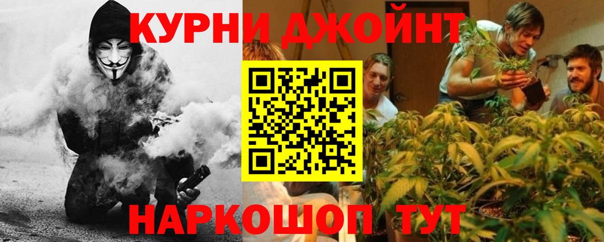 Бошки Шишки план Пушкино
